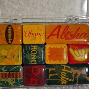 Hawaiian Kine Words Ten-Piece Magnet Set - Bright Tropical Colors